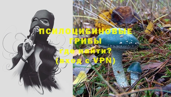 шишки Покачи